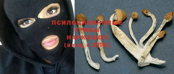 apvp Киренск